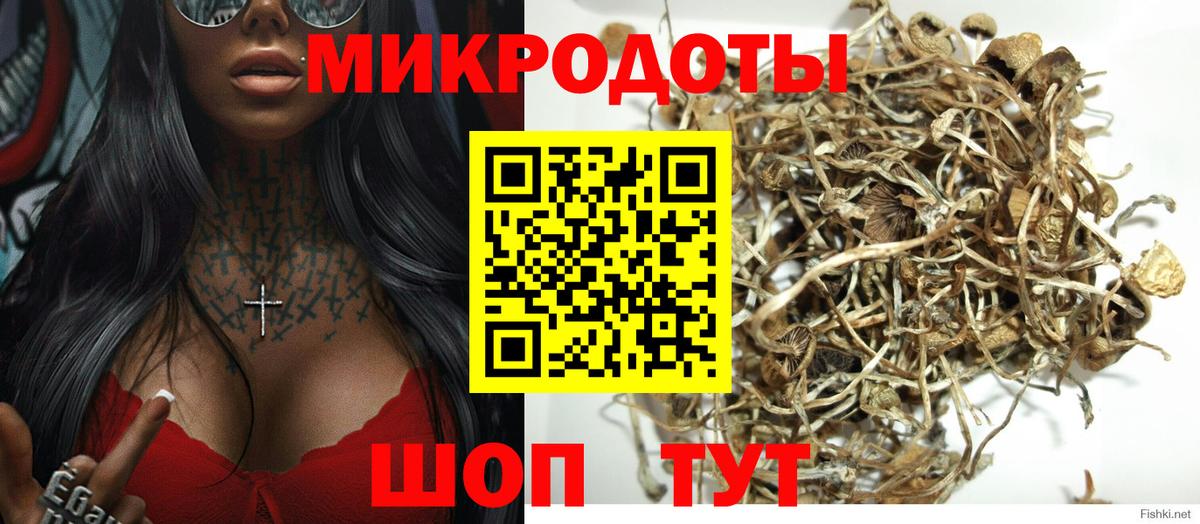 Симферополь  Псилоцибиновые грибы Cubensis  Вход с VPN 